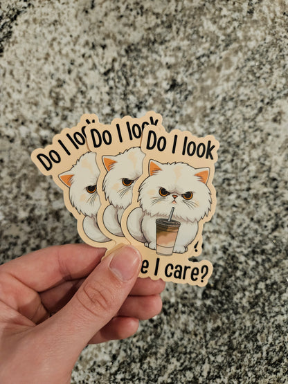 Do I look like I care?