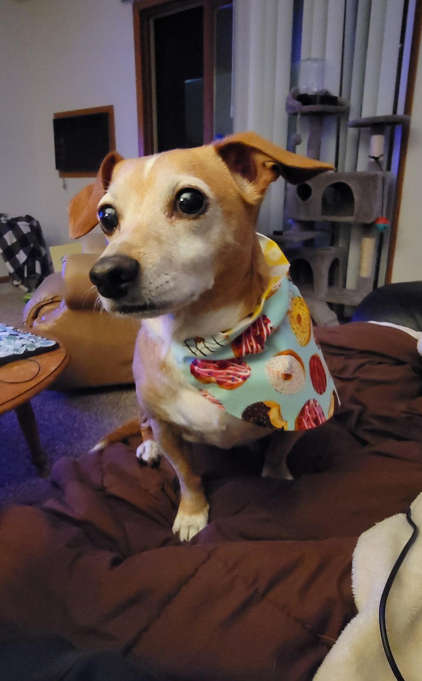 Donut & Yellow Flower Bandana