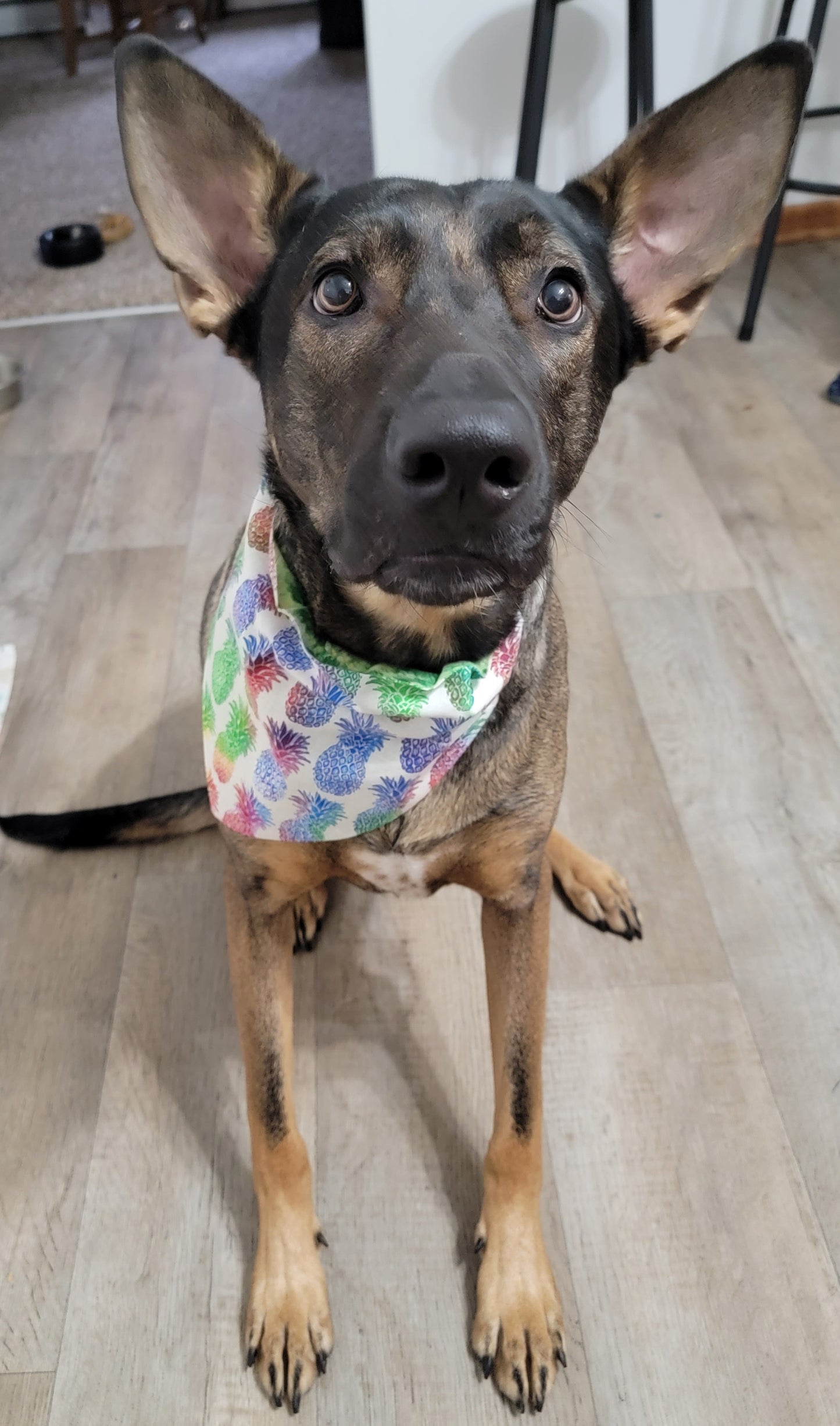 Pineapple & Tie-dye Bandana