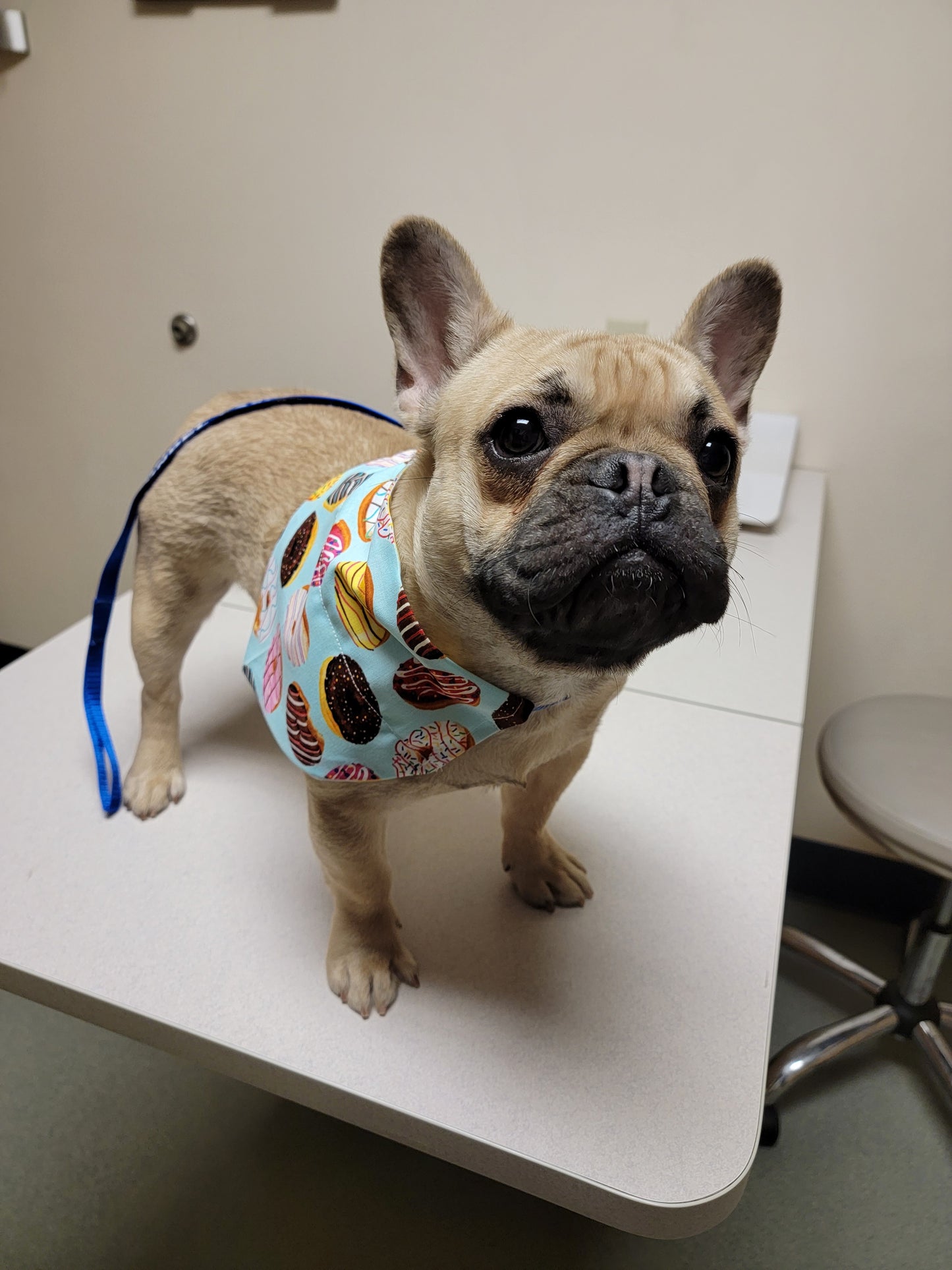 Donut & Yellow Flower Bandana