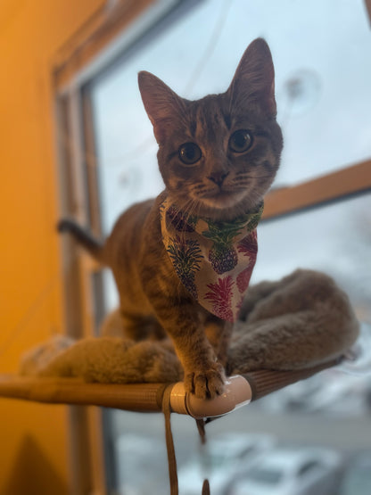 Pineapple & Tie-dye Bandana